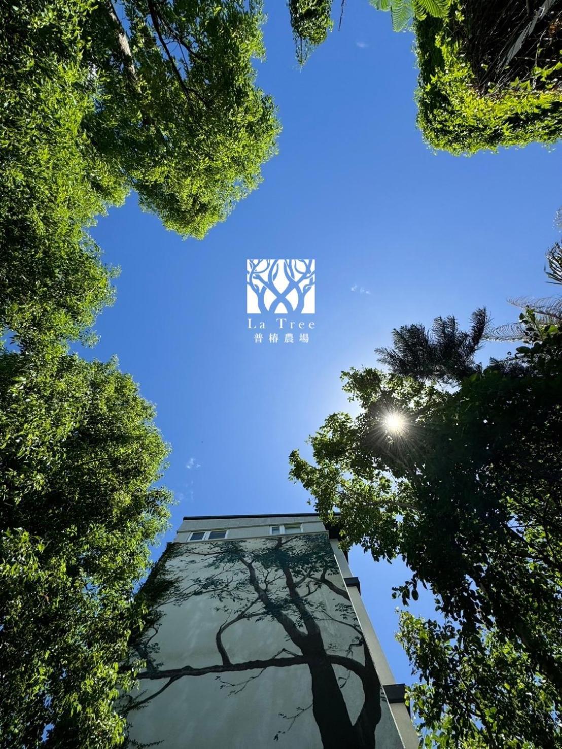 Apartament La Tree 普椿農場木子莊園 Donghe Zewnętrze zdjęcie